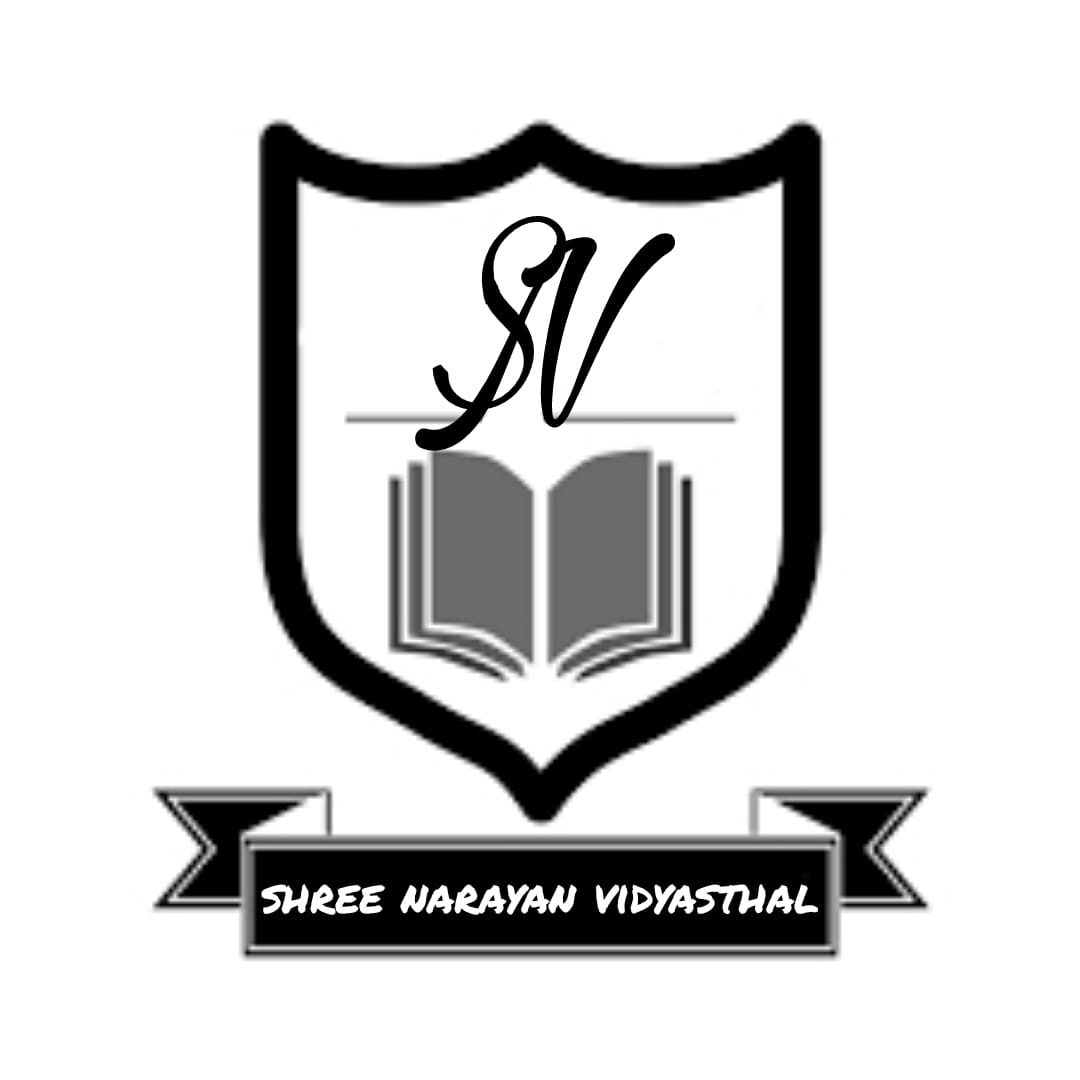 SNV Logo